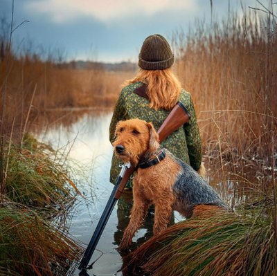 Airedale Terrier - photo 4