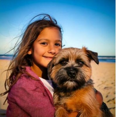 Border Terrier - photo 6
