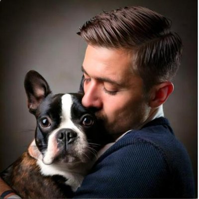 Boston Terrier - photo 6