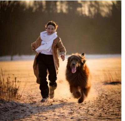 Bouvier des Flandres - photo 6