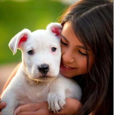 Dogue Argentin - photo 6