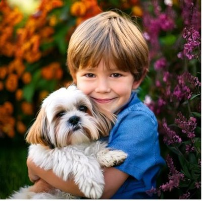 Shih Tzu - photo 7