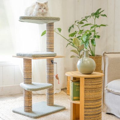 Pourquoi l’arbre à chat change tout (vraiment)