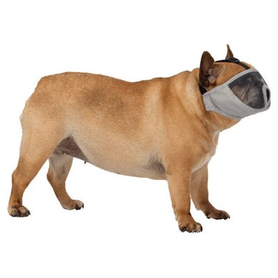 La muselière pour museau court Trixie est parfaite pour le Bouledogue Français ! - photo 2