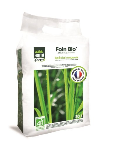 Alimentation du cochon d'Inde Skinny