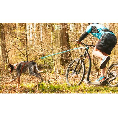 Barre Cani VTT : Traction canicross vélo, Tous nos conseils Pro ! - photo 4