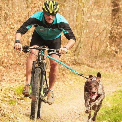 Barre Cani VTT : Traction canicross vélo, Tous nos conseils Pro ! - photo 1
