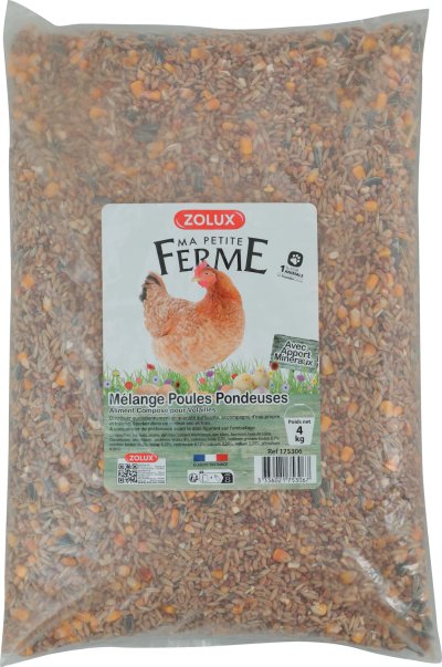 Alimentation de la Poule Bresse Gauloise