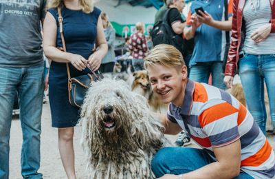 Komondor