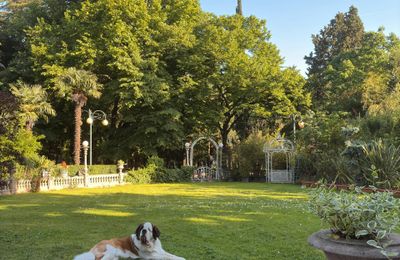 Saint-Bernard