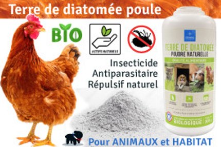Terre de diatomée pour poule