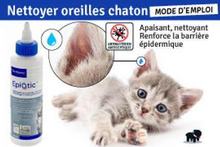 Chaton gris tigré à côté d'un flacon de nettoyant auriculaire Epiotic