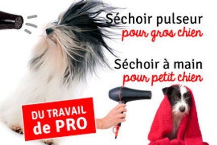 pulseur chien, sechoir pour chien