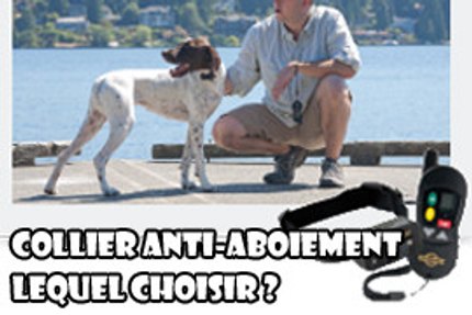 collier anti aboiement