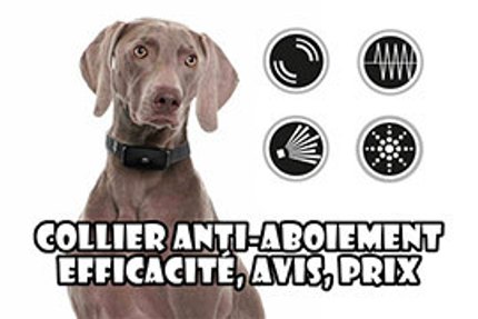collier anti aboiement efficacité avis prix