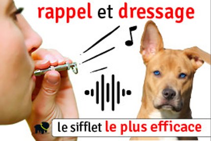 sifflet ultrason