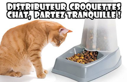 distributeur croquettes chat