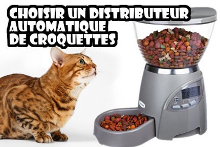 distributeur croquette chat programmable