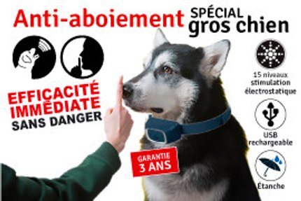 anti aboiement gros chien
