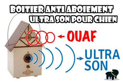 ultrason pour chien