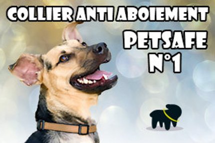 Collier anti aboiement petsafe