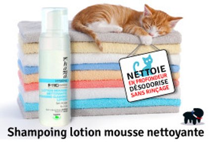 laver un chat
