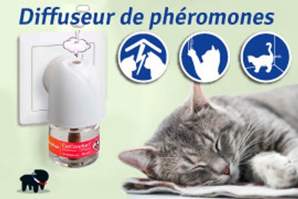 pheromone chat