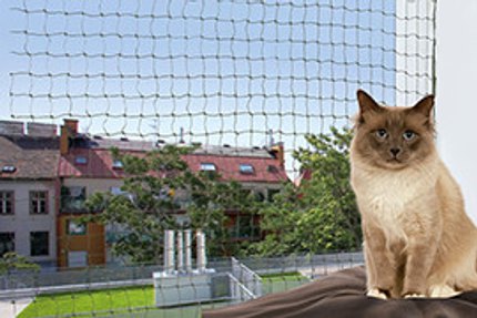 Filet de protection chat