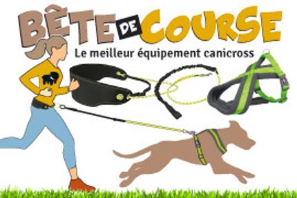 Canicross matériel, équipement, kit