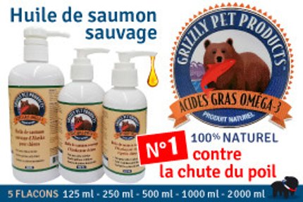 Mon chien perd ses poils, perte de poils, solution !