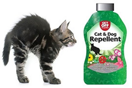 Répulsif chat
