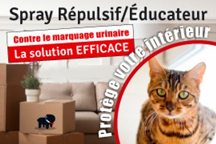 Répulsif chat intérieiur