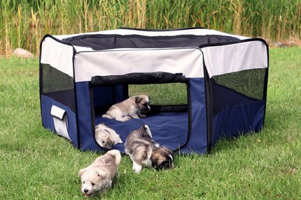 parc a chiot
