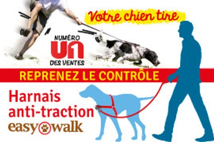 harnais anti traction