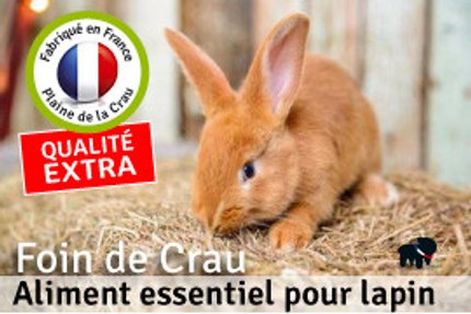 foin lapin rongeur