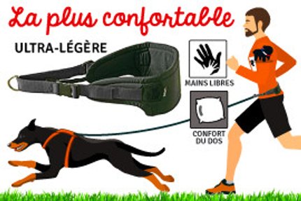 harnais canicross ceinture canicross