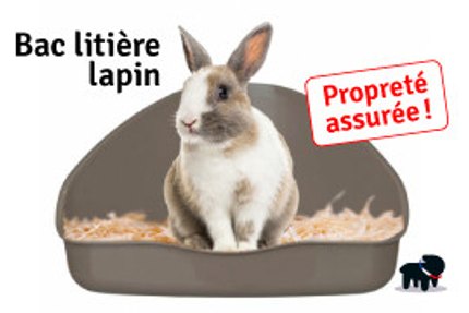 bac litière lapin