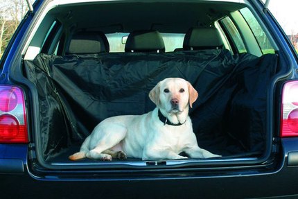 protection coffre chien