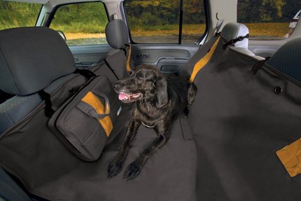 housse voiture chien