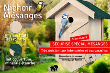 nichoir mésange