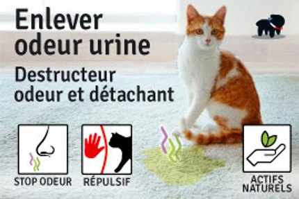 odeur urine chat