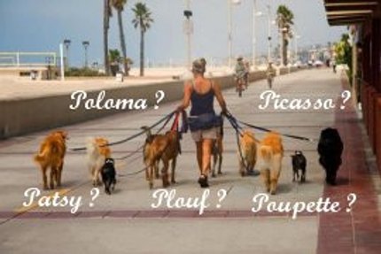 prenom de chien 2019