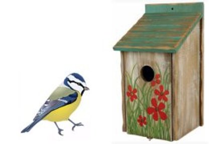 nichoir oiseau