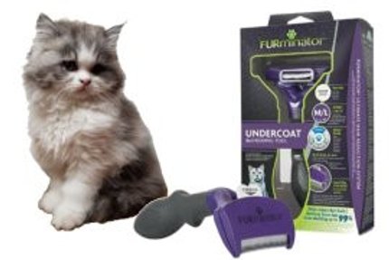 furminator brosse chat