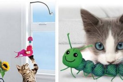 jeu jouet chat