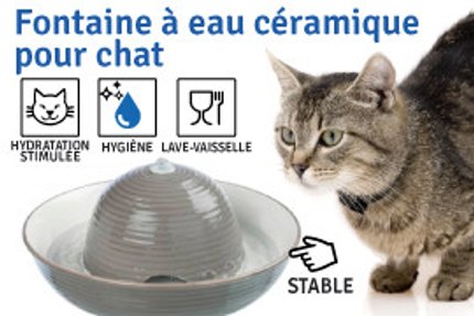 fontaine à eau chat