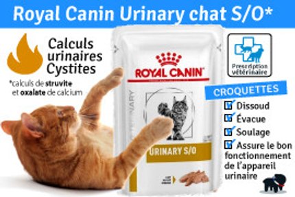 URINARY