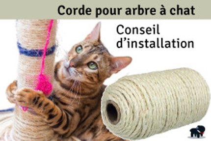 Corde pour arbre à chat, conseil d’installation !