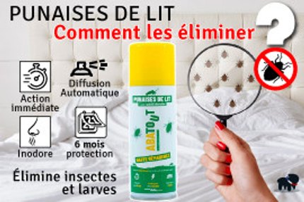 Comment se débarrasser des punaises de lit ?