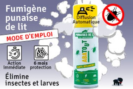 Fumigène pour punaise de lit : action radicale contre les punaises